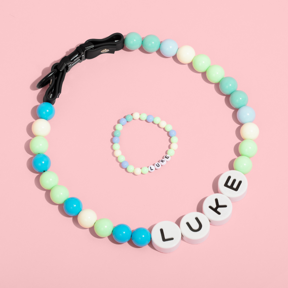 PawCharm Collar + Free Matching Bracelet