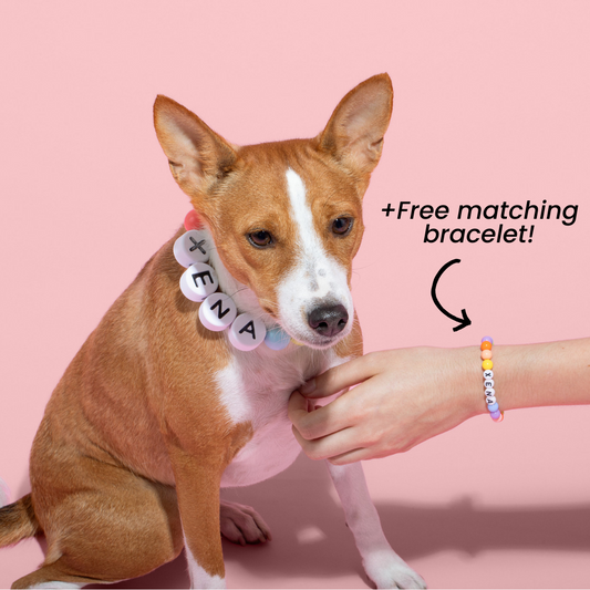 PawCharm Collar + Free Matching Bracelet